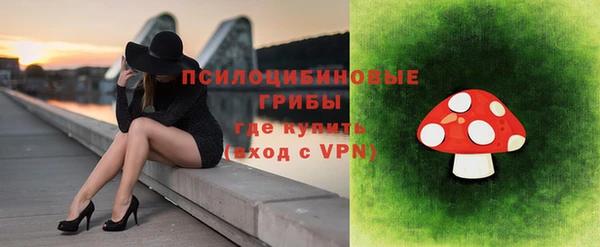 apvp Аркадак