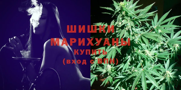 apvp Аркадак