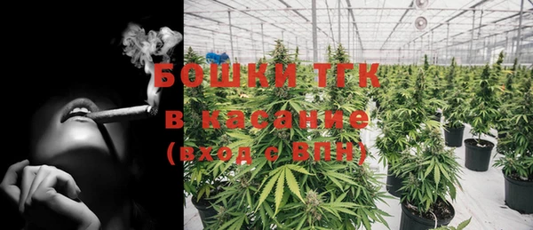 apvp Аркадак