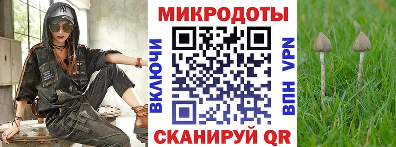 Галлюциногенные грибы Cubensis Макарьев