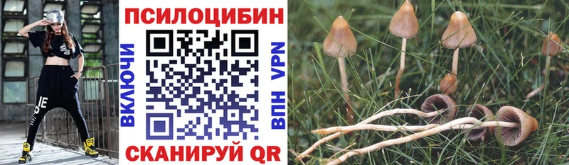 Галлюциногенные грибы Magic Shrooms Макарьев
